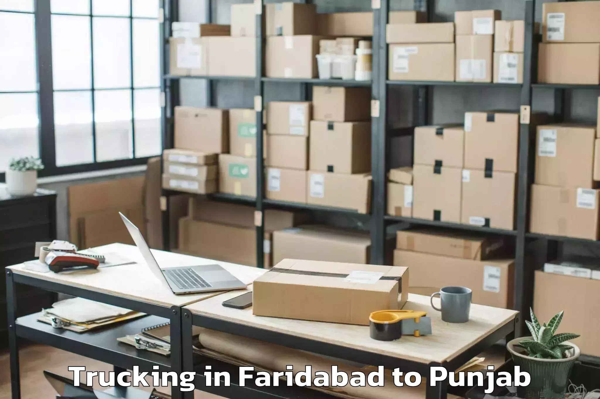 Book Faridabad to Malerkotla Trucking Online